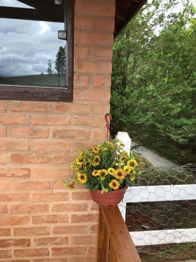 Liberdade * Santo Antonio do Pinhal