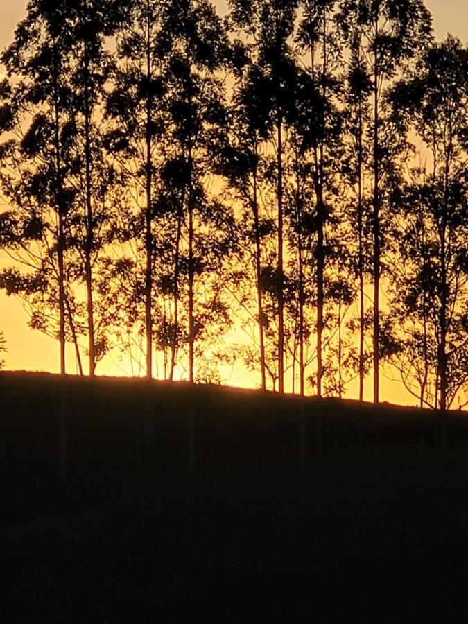 Liberdade *
