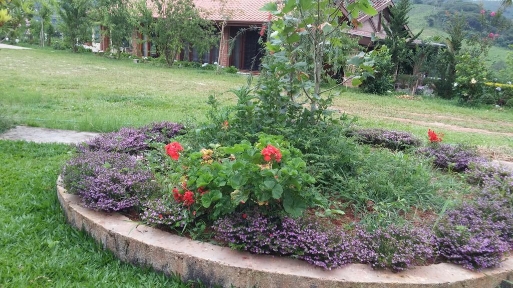 Liberdade * Santo Antonio do Pinhal