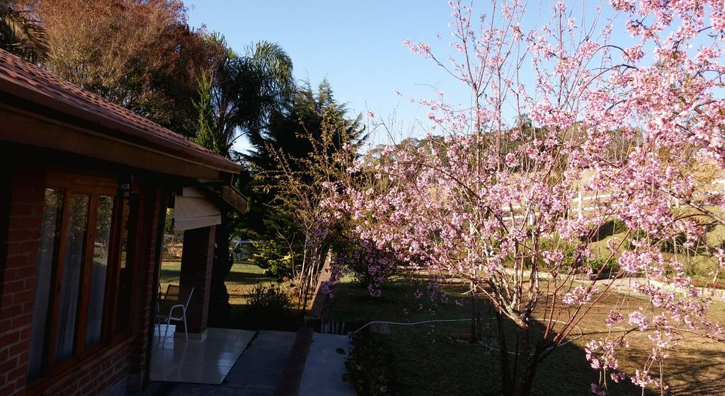 Holiday home Liberdade